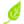 CN Seeds logo