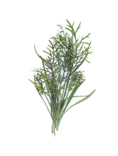 Load image into Gallery viewer, Micro Fennel Bronze