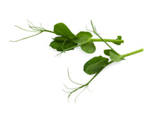Load image into Gallery viewer, Micro Pea Shoots Style