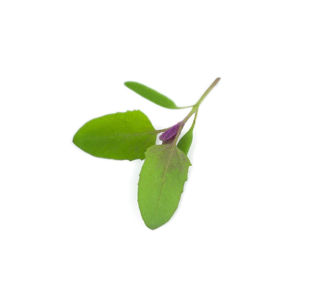 Micro Glitter Spinach