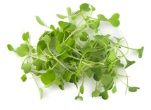 Load image into Gallery viewer, Micro Salad Rocket Victoria