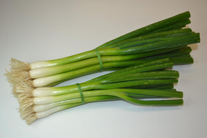 Onion (Salad) CN SONI 8037